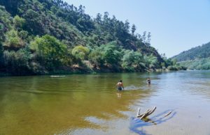 people bathing, river beach, clear water, Mondego River between Penacova & Torres, Portugal people bathing, river beach, clear water, Mondego River between Penacova & Torres, Portugal