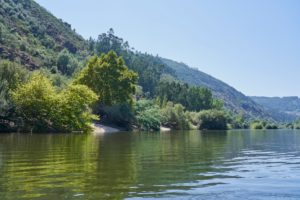 clear water, Mondego River between Penacova & Torres, Portugal clear water, Mondego River between Penacova & Torres, Portugal