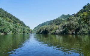clear water, Mondego River between Penacova & Torres, Portugal clear water, Mondego River between Penacova & Torres, Portugal