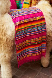 throw rug, toy llama, bright colours, Guadalajara, Mexico throw rug, toy llama, bright colours, Guadalajara, Mexico