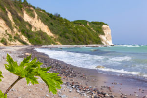 island of Rügen, Cape Arkona, cliff, beach, hogweed, Heracleum