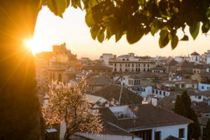 Granada (Spain), Mirador de la Churra, view to the Albaicin district, tree blossom, sun rays Granada (Spain), Mirador de la Churra, view to the Albaicin district, tree blossom, sun rays