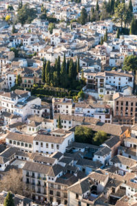 Spain, Granada, view from the Alhambra towards Albaicin, cypresses Spain, Granada, view from the Alhambra towards Albaicin, cypresses