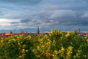 Berlin, summer, distant view to the east, sunset Berlin, summer, distant view to the east, sunset