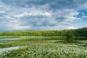 Mecklenburger Seenplatte, Kagar, Idyllle am Kagarsee, Seerosen, Wolken Mecklenburger Seenplatte, Kagar, Idyllle am Kagarsee, Seerosen, Wolken