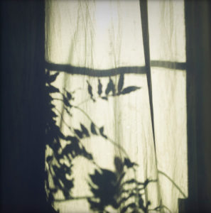 Silhouette, window, curtain Silhouette, window, curtain