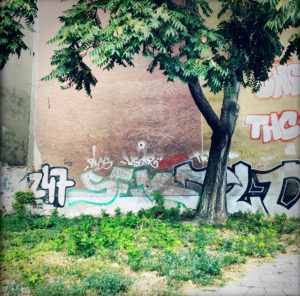 Brandschutzmauer, Baum, Graffiti, Berlin Brandschutzmauer, Baum, Graffiti, Berlin