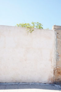 Wand, Mauer, grün, Pflanze, blauer Himmel Wand, Mauer, grün, Pflanze, blauer Himmel