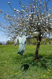 Dress on the tree Dress on the tree