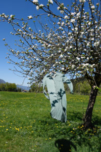 Dress on the tree Dress on the tree