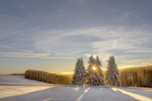 Germany, Thuringia, Neustadt/Rennsteig, trees, sun, snow, Germany, Thuringia, Neustadt/Rennsteig, trees, sun, snow,