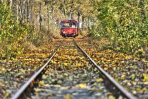 Railroad line, motor coach recedes into the distance, track, fall foliage, trees, Kuhbier, Brandenburg, Germany, Railroad line, motor coach recedes into the distance, track, fall foliage, trees, Kuhbier, Brandenburg, Germany,