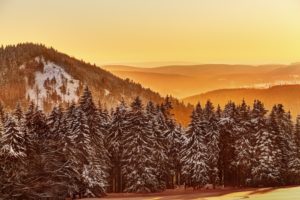 Germany, Thuringia, Gehlberg, Schmücke, mountain silhouettes, spruces, snow, back light, Germany, Thuringia, Gehlberg, Schmücke, mountain silhouettes, spruces, snow, back light,