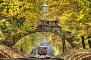 Train passes through a forest, bridge, people, fall, back light, Kalenborn, Rhineland-Palatinate, Germany, Train passes through a forest, bridge, people, fall, back light, Kalenborn, Rhineland-Palatinate, Germany,