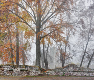 Germany, Thuringia, Gehren, trees, ruin, fog Germany, Thuringia, Gehren, trees, ruin, fog