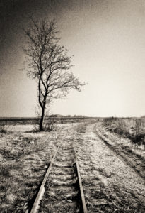 Track ends in the grass, tree, digitally processed, RailArt Track ends in the grass, tree, digitally processed, RailArt