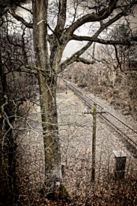 Tree, track, platform, telegraph pole, digitally processed, RailArt Tree, track, platform, telegraph pole, digitally processed, RailArt