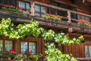 Ölmühle, Simonswald, Schwarzwald, Baden-Württemberg, Deutschland Ölmühle, Simonswald, Schwarzwald, Baden-Württemberg, Deutschland