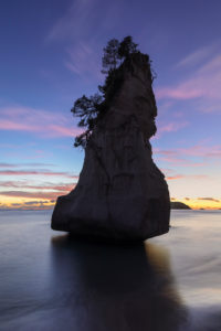 Cathedral Cove, Cathedral Cove Marina Reserve, Coromandel Peninsula, Waitako, Nordinsel, Neuseeland, Ozeanien Cathedral Cove, Cathedral Cove Marina Reserve, Coromandel Peninsula, Waitako, Nordinsel, Neuseeland, Ozeanien