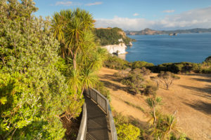 Cathedral Cove Walk, Coromandel Peninsula, Waikatu, Nordinsel, Neuseeland, Cathedral Cove Walk, Coromandel Peninsula, Waikatu, Nordinsel, Neuseeland,