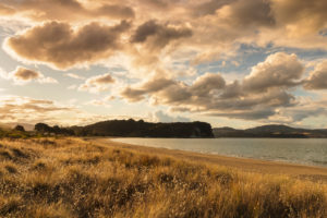 Cooks Beach, Coromandel Peninsula, Waitako, Nordinsel, Neuseeland, Ozeanien Cooks Beach, Coromandel Peninsula, Waitako, Nordinsel, Neuseeland, Ozeanien