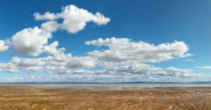 Firth of Thames, Wattgebiet und Salzmarschen Waikato, Nordinsel, Neuseeland, Ozeanien Firth of Thames, Wattgebiet und Salzmarschen Waikato, Nordinsel, Neuseeland, Ozeanien