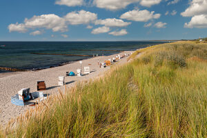Hohes Ufer, Ahrenshoop, Fischland-Darß-Zingst peninsula, Mecklenburg-Vorpommern, Germany