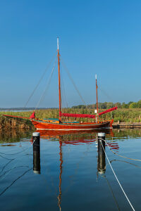 Zeese in the harbor of Wieck am Darß, Bodstedter Bodden, Fischland-Darß-Zingst peninsula, Mecklenburg-Vorpommern, Germany