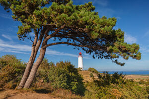 Dornbusch lighthouse, Hiddensee island, Pomerania, Mecklenburg-Western Pomerania, Germany