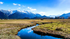 Murnauer Moore with alps in autumn, district Garmisch-Partenkirchen, Bavarians, Germany Murnauer Moore with alps in autumn, district Garmisch-Partenkirchen, Bavarians, Germany