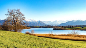 Murnauer Moore with alps in autumn, district Garmisch-Partenkirchen, Bavarians, Germany Murnauer Moore with alps in autumn, district Garmisch-Partenkirchen, Bavarians, Germany