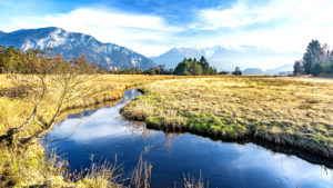 Stream course and single delight in autumn, Murnauer Moor, Werdenfelser Land, district Garmisch-Partenkirchen, Bavaria, Germany Stream course and single delight in autumn, Murnauer Moor, Werdenfelser Land, district Garmisch-Partenkirchen, Bavaria, Germany