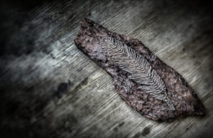 DIY, String Art, Feather, Mystic, DIY, String Art, Feather, Mystic,