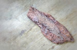 DIY, String Art, Feder, DIY, String Art, Feder,