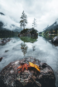 Germany, Berchtesgadener country, Hintersee Germany, Berchtesgadener country, Hintersee