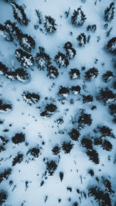 Czech Republic, Ore Mountains, Keilberg, forest, winter landscape from above Czech Republic, Ore Mountains, Keilberg, forest, winter landscape from above