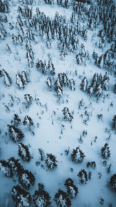 Czech Republic, Ore Mountains, Keilberg, forest, winter landscape from above Czech Republic, Ore Mountains, Keilberg, forest, winter landscape from above