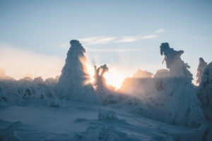 Germany, Saxony, Erzgebirge, Fichtelberg, winter landscape Germany, Saxony, Erzgebirge, Fichtelberg, winter landscape