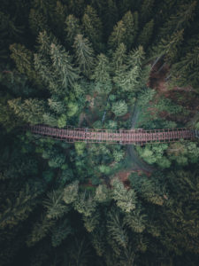 Germany, Saxony, Erzgebirge, Zwönitz, forest, bridge, from above Germany, Saxony, Erzgebirge, Zwönitz, forest, bridge, from above