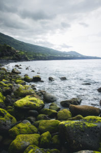 Azores, Pico, coast Azores, Pico, coast