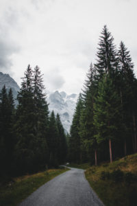 Italy, South Tyrol, road, forest, snowy mountains Italy, South Tyrol, road, forest, snowy mountains