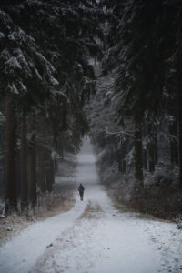 Germany, Saxony, Ore Mountains, winter forest Germany, Saxony, Ore Mountains, winter forest