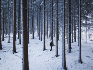 Germany, Saxony, Ore Mountains, Dittersdorfer Höhe, einsamer Spaziergänger im Wald Germany, Saxony, Ore Mountains, Dittersdorfer Höhe, einsamer Spaziergänger im Wald