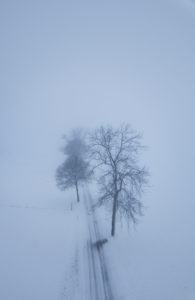 Germany, Saxony, Ore Mountains, trees and snow-covered country road near Eibenberg Germany, Saxony, Ore Mountains, trees and snow-covered country road near Eibenberg