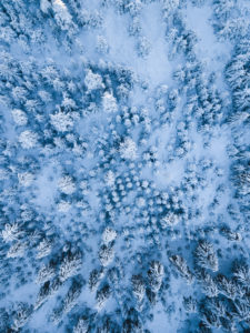 Germany, Saxony, Ore Mountains, winter forest Germany, Saxony, Ore Mountains, winter forest