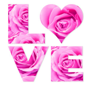 Illustration 'love rose' Illustration 'love rose'