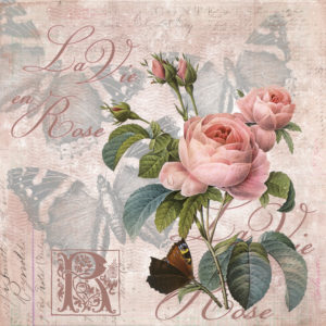 Illustration 'La vie en rose' Illustration 'La vie en rose'