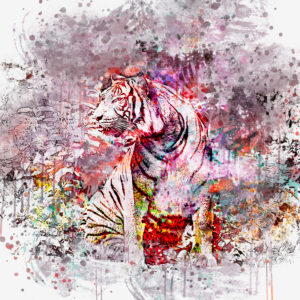 Illustration 'Crazy Tiger' Illustration 'Crazy Tiger'