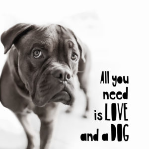 Postcard motif 'All you need is Love and a Dog', Postcard motif 'All you need is Love and a Dog',