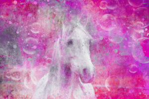 Collage 'Dreaming Horse 4' Collage 'Dreaming Horse 4'